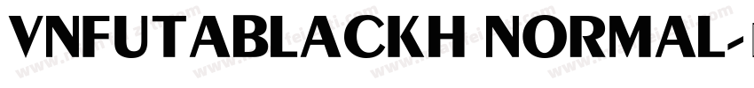 VNFutaBlackH Normal字体转换